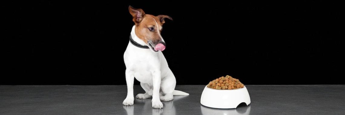 Корма для собак