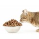 Сухой корм для Кошек